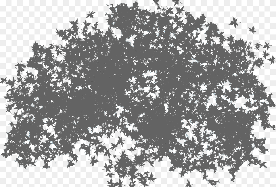 Tree Available In Different Size Transparent Tree Shadow, Nature, Outdoors, Pattern, Snow Free Png Download