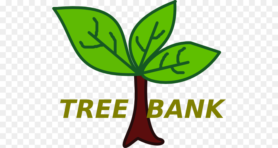 Tree Bank Clip Art, Herbal, Herbs, Leaf, Plant Free Transparent Png