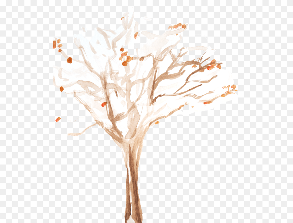 Tree Bare Still Life Photography, Art, Painting, Plant, Drawing Png Image