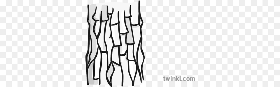 Tree Bark Black And White Illustration Twinkl Tree Bark Illustration, Plant Free Png Download