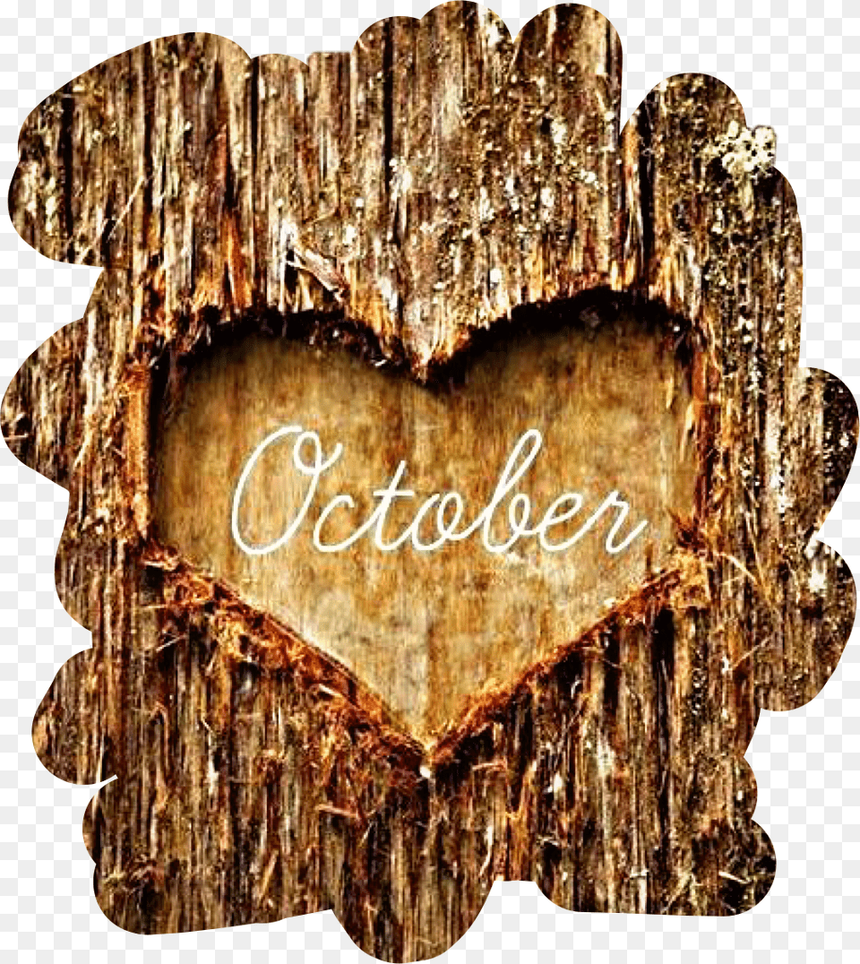Tree Bark Heart October Autumn Fall Freetoedit October My Favorite Month Free Png Download