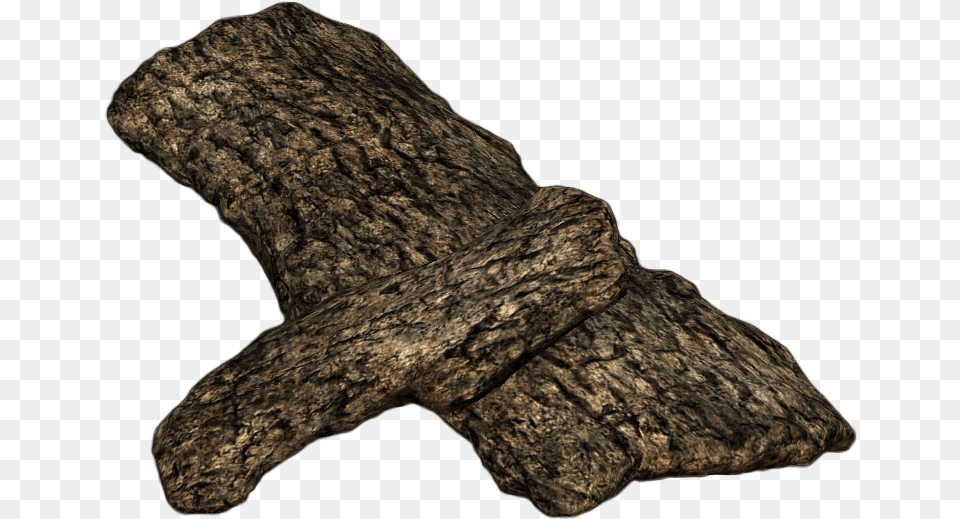 Tree Bark Picture Oak Tree Bark, Rock, Wood, Plant, Accessories Png Image