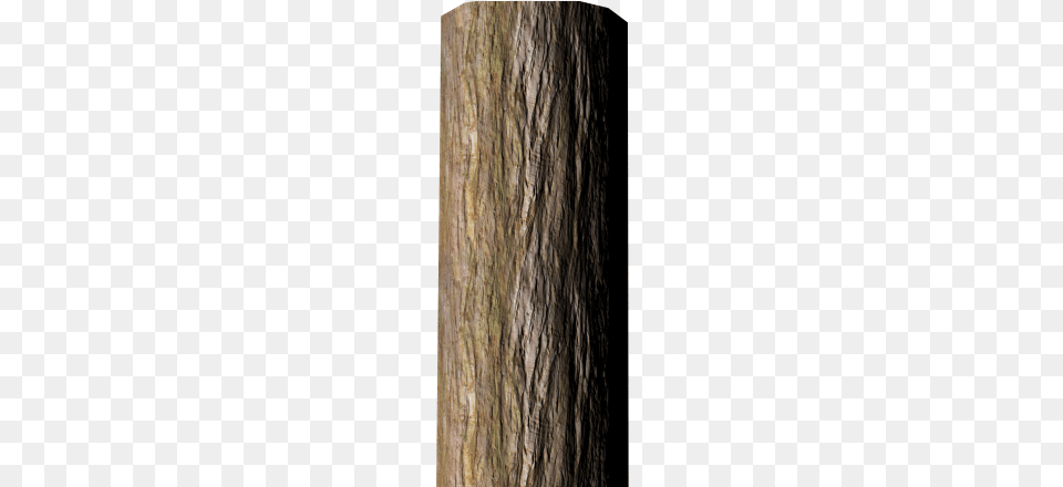 Tree Bark Textures Bark, Plant, Tree Trunk Free Transparent Png