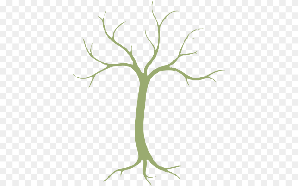 Tree Base Clipart Clip Art Images, Plant Free Png Download