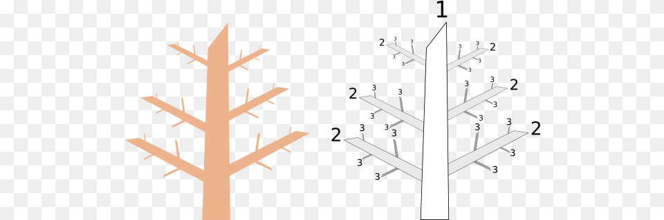 Tree Basics Tree Branch Levels, Utility Pole Free Png Download