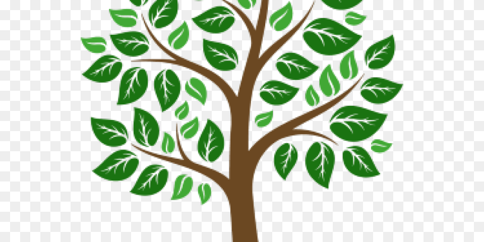 Tree Board, Green, Leaf, Pattern, Plant Free Transparent Png