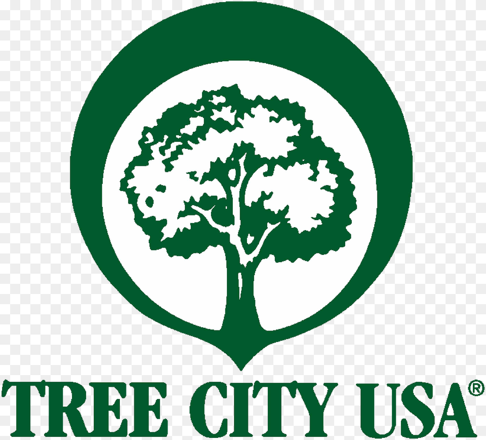Tree Board Or Department A Tree Care Ordinance 3 Tree City Usa Logo, Plant, Sticker, Vegetation, Leaf Png