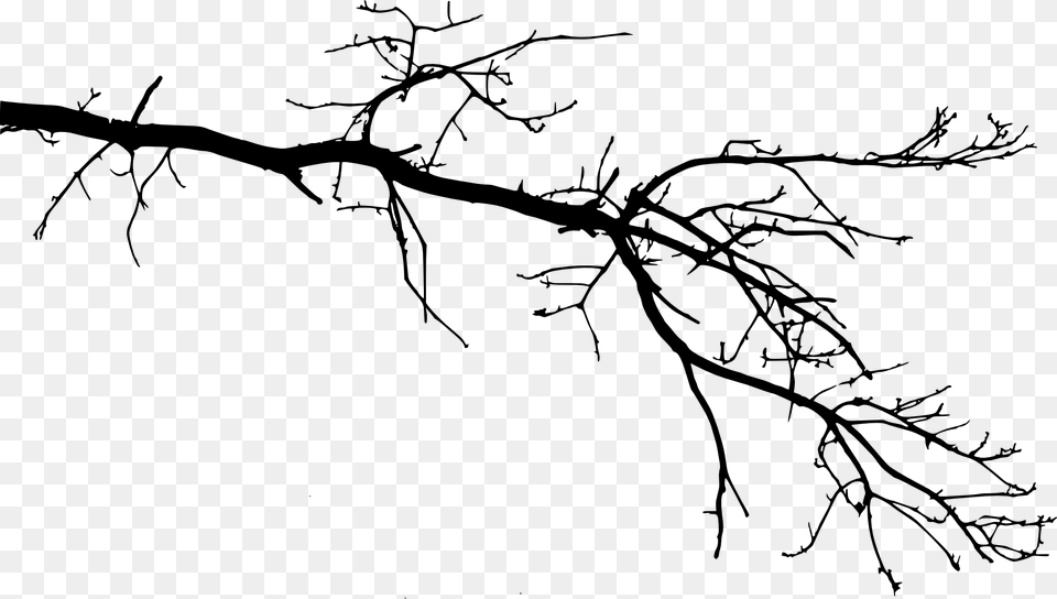 Tree Branch, Art, Drawing, Person Free Png