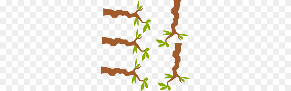 Tree Branch Clip Art, Plant, Vine, Vegetation, Moss Free Png