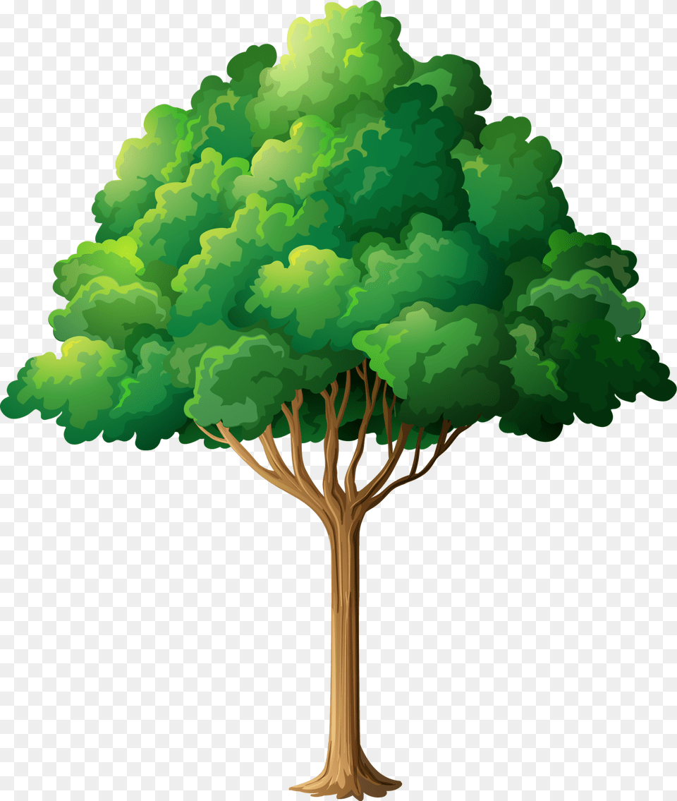 Tree Branch Clip Art Forest Trees Clipart, Plant, Painting, Green, Vegetation Png