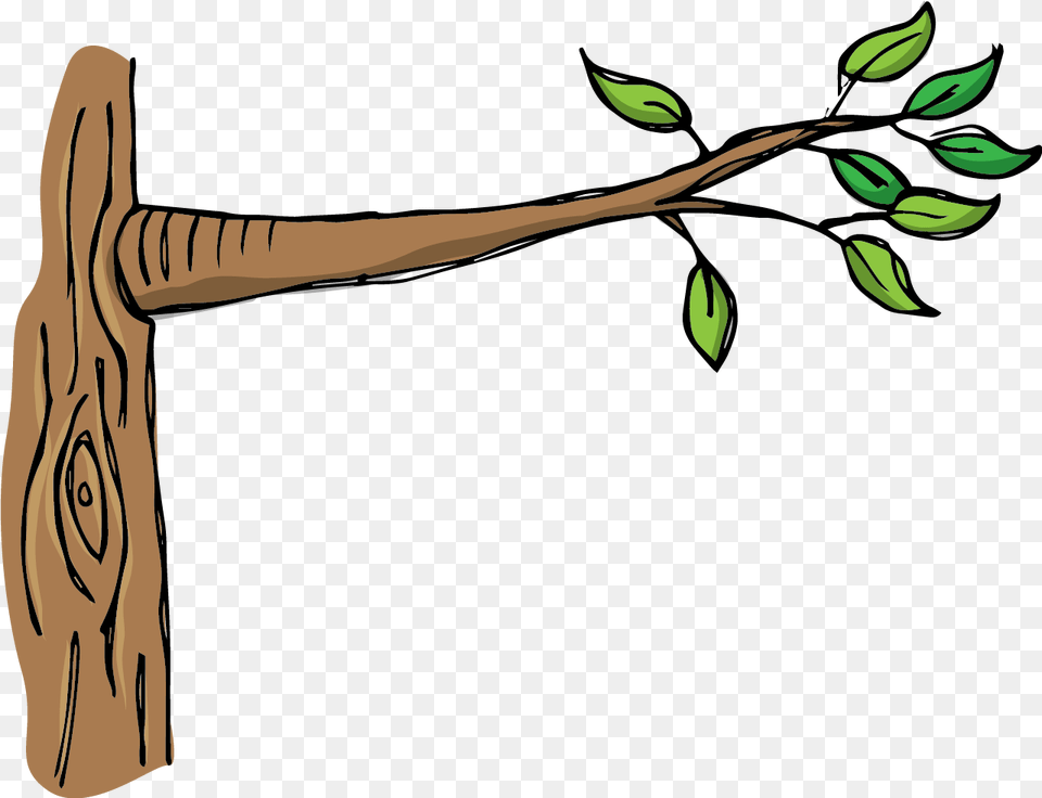 Tree Branch Clipart Transparent Background, Adult, Woman, Plant, Person Free Png