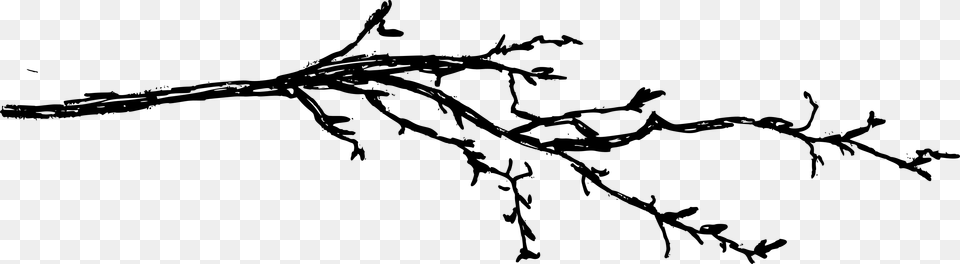 Tree Branch Drawing, Gray Free Png Download