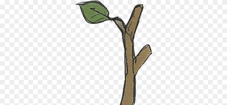 Tree Branch Fire Emblem Wiki Fandom Limb, Leaf, Plant, Tree Trunk, Flower Free Transparent Png