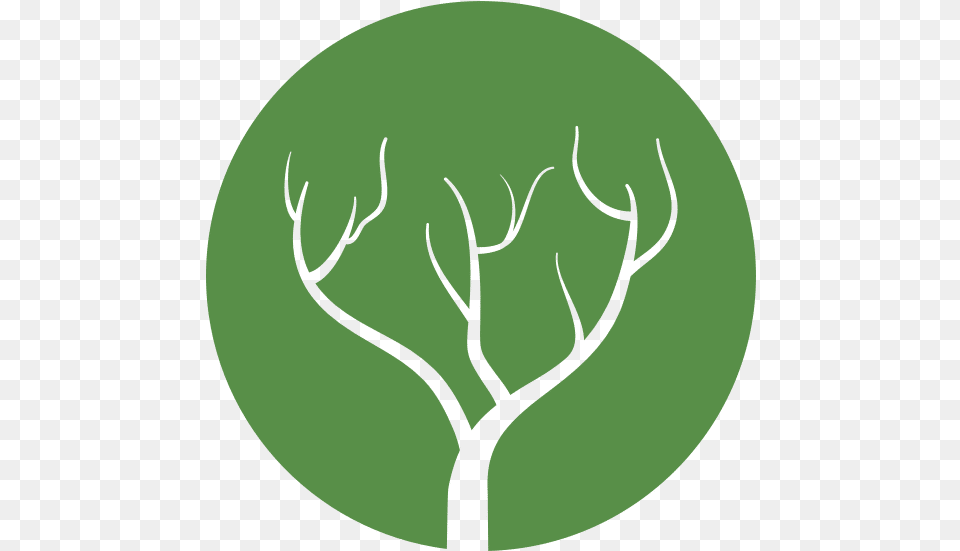 Tree Branch Icon Canva Language, Green, Leaf, Plant Free Transparent Png