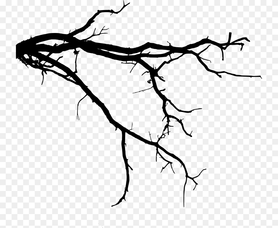 Tree Branch Images Tree Branch Silhouette, Art, Plant, Person Free Transparent Png