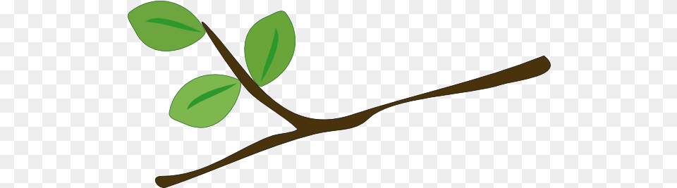 Tree Branch Jpg Transparent Stock Rama De Arbol, Herbs, Plant, Leaf, Herbal Png Image