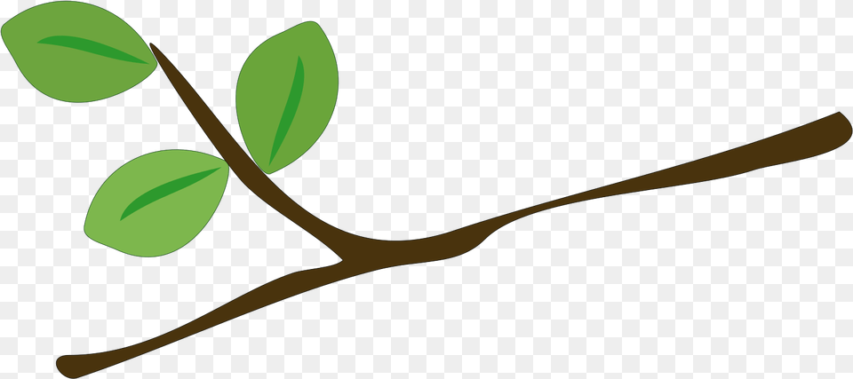 Tree Branch Leaves Free Vector Graphic On Pixabay Cartoon Branch, Plant, Leaf, Herbs, Herbal Png Image