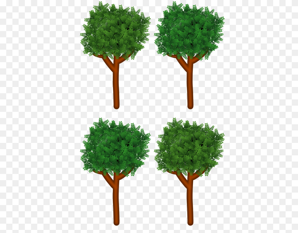 Tree Branch Shrub Forest Wood, Green, Plant, Vegetation Png