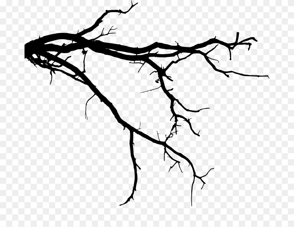 Tree Branch Silhouette, Gray Free Png