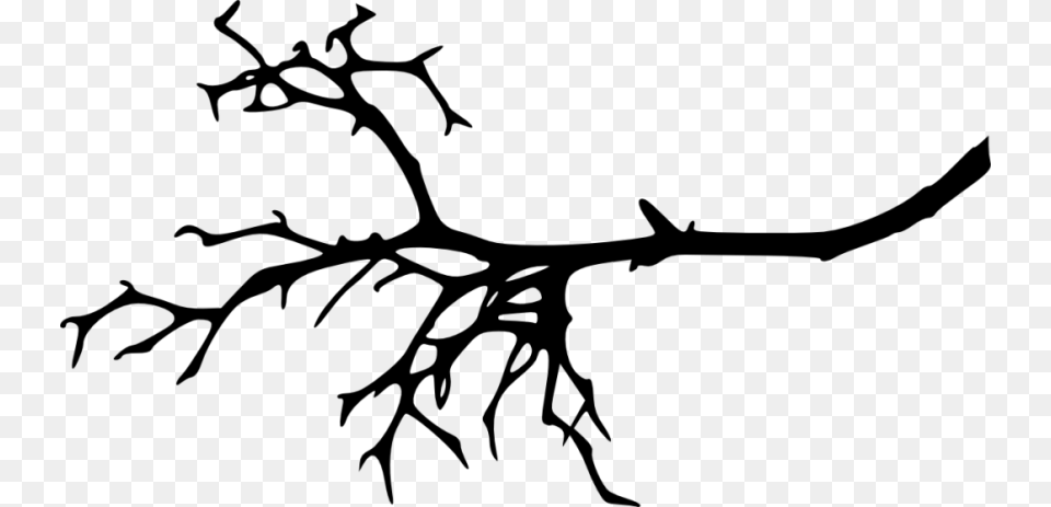 Tree Branch Silhouette, Plant, Root, Leaf Free Transparent Png