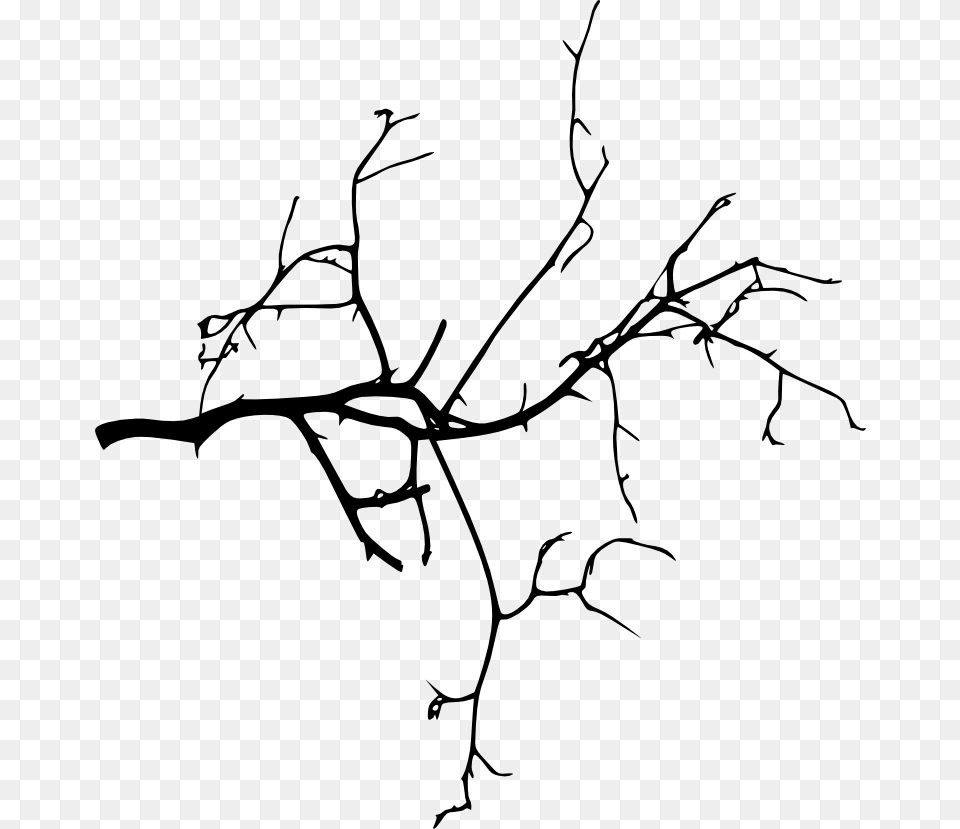 Tree Branch Silhouette, Art, Drawing Free Transparent Png