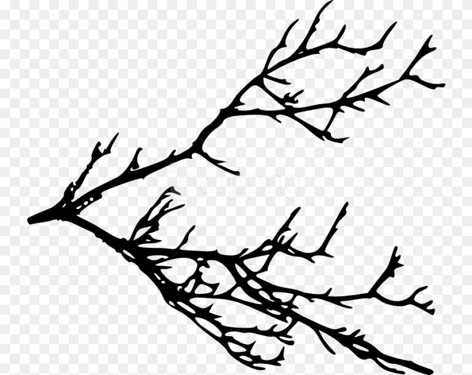 Tree Branch Silhouette, Leaf, Plant, Art Png Image