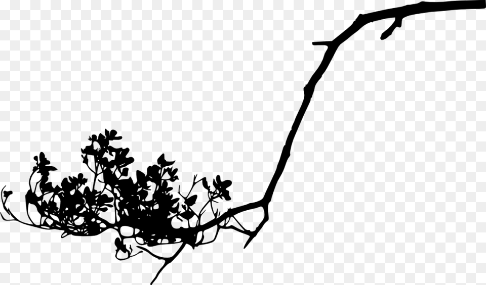 Tree Branch Silhouette Portable Network Graphics, Gray Free Transparent Png