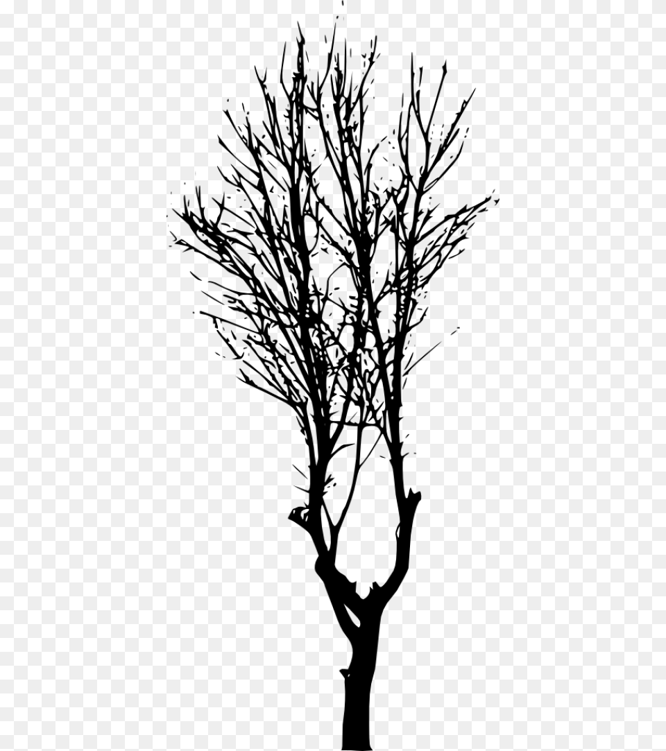 Tree Branch Silhouette Tree Branch Background, Plant, Tree Trunk, Art Free Transparent Png