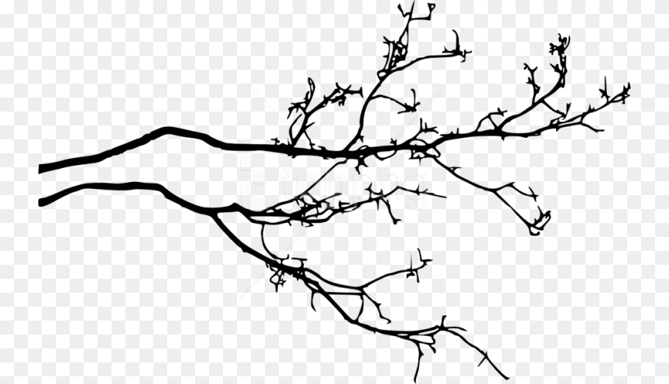 Tree Branch Tree Branch With Leaves Silhouette, Flower, Plant, Art, Animal Png Image