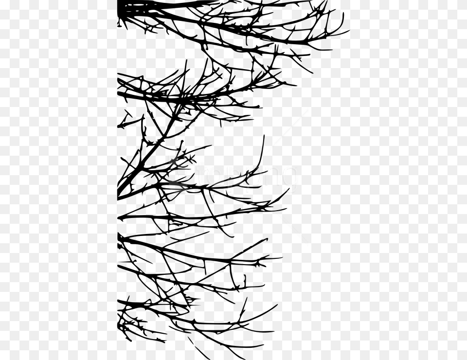 Tree Branch Twigs Silhouette, Plant, Art Png Image