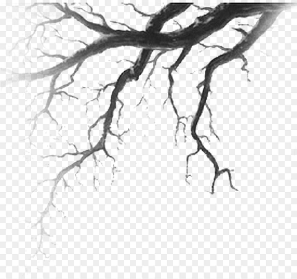 Tree Branch Vains Branches Drawing, Gray Free Transparent Png