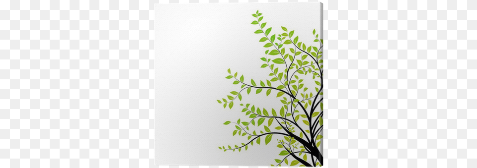 Tree Branch Vector Arbre Genealogique Gratuit A Imprimer, Architecture, Pattern, Wall, Graphics Png Image