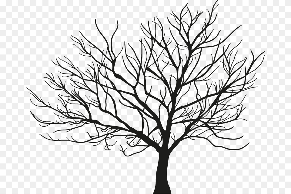 Tree Branch Winter Vector Maple Tree Silhouette Winter, Art, Plant, Drawing Free Png