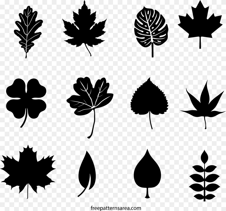Tree Branch With Leaves Silhouette Leaf Shape Leaf Silhouette, Gray Png