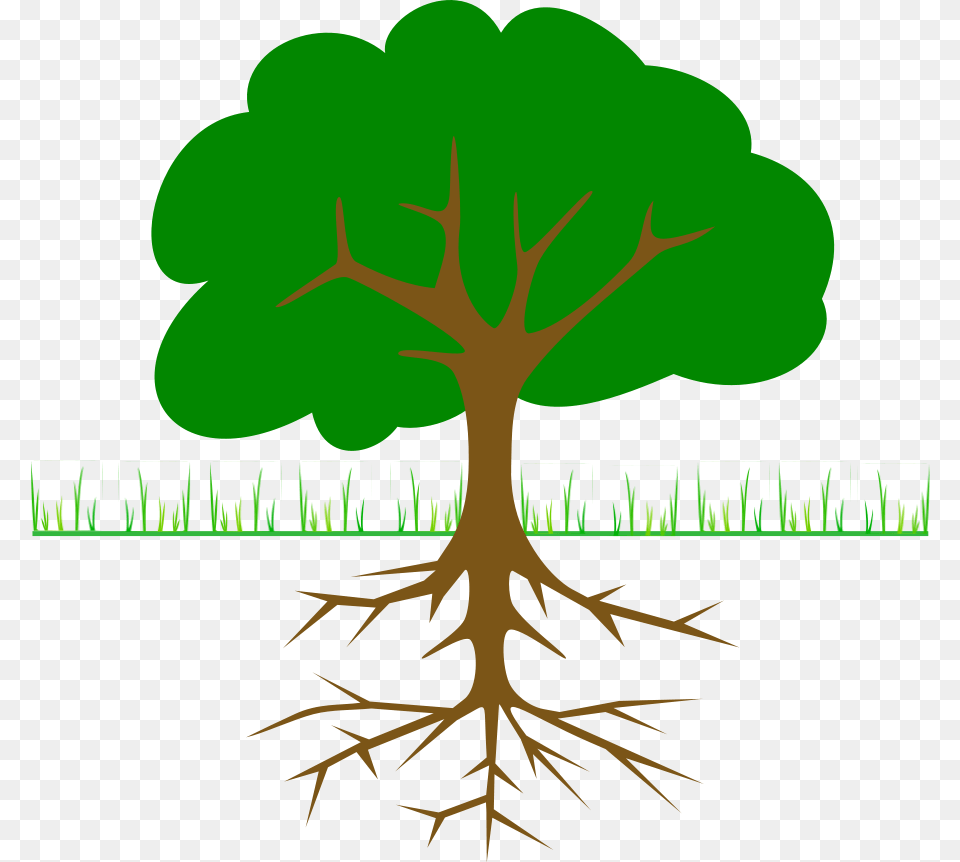 Tree Branches And Root Clip Arts Download, Plant, Vegetation Free Transparent Png