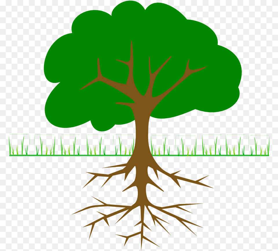 Tree Branches And Roots Svg Clip Arts Trees With Roots Clipart, Plant, Root, Vegetation Png Image