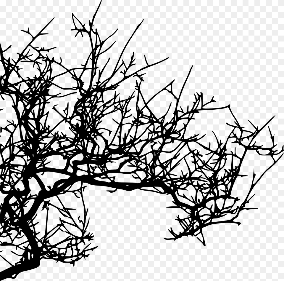 Tree Branches For Kids Tree Branch Hd Texture, Art, Doodle, Drawing, Silhouette Png Image