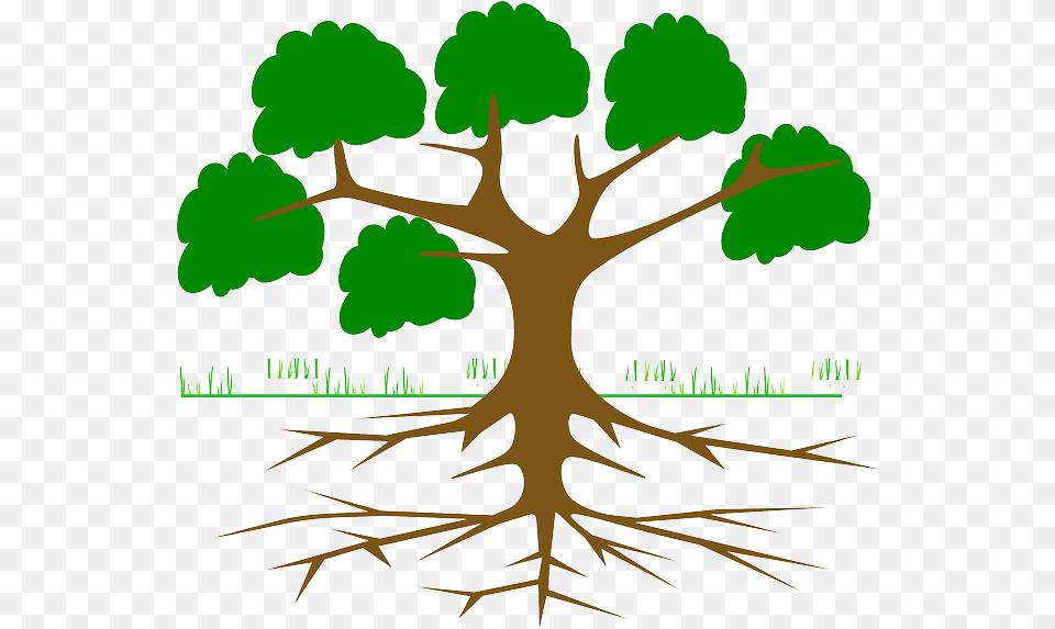 Tree Branches Root Eco Ecology Nature Plant Arbol De Tree With Roots For Kids, Vegetation Free Png Download