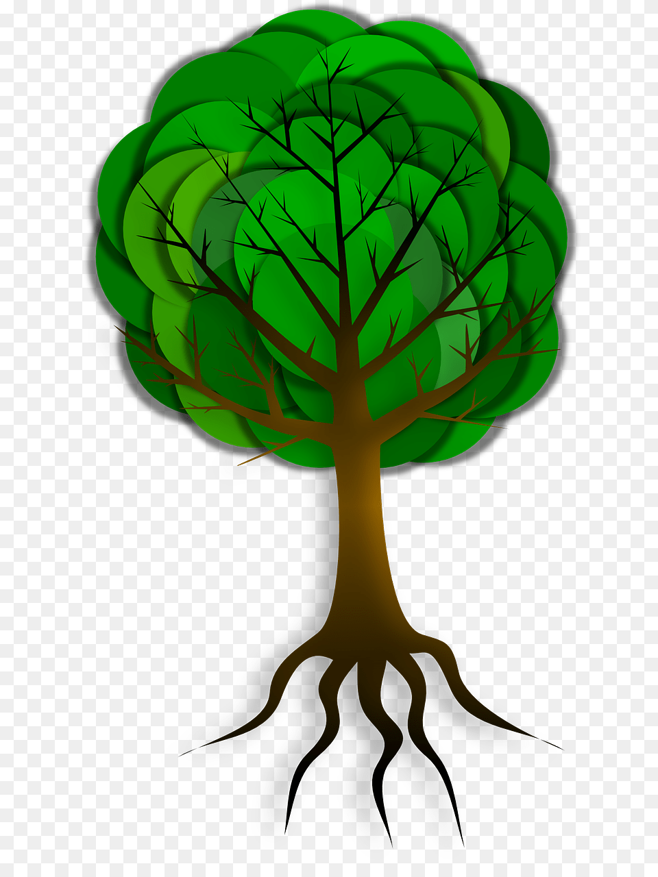 Tree Branches Roots Skeleton Image Tree, Green, Leaf, Plant Free Transparent Png