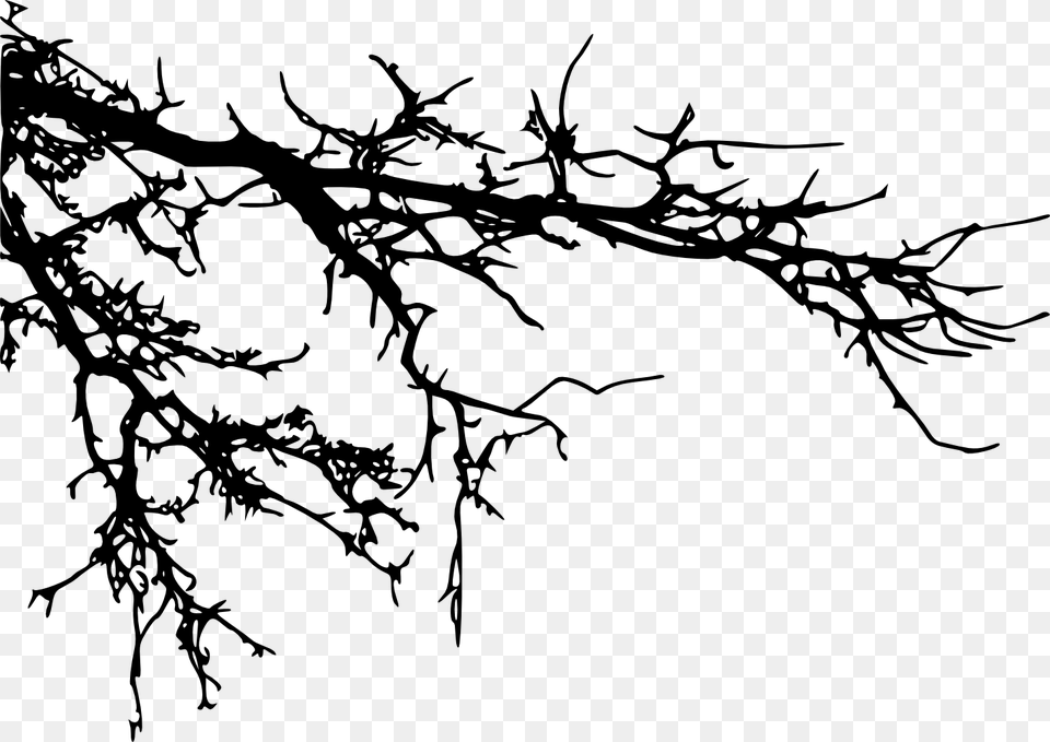 Tree Branches Silhouette, Art, Drawing, Animal, Dinosaur Png Image