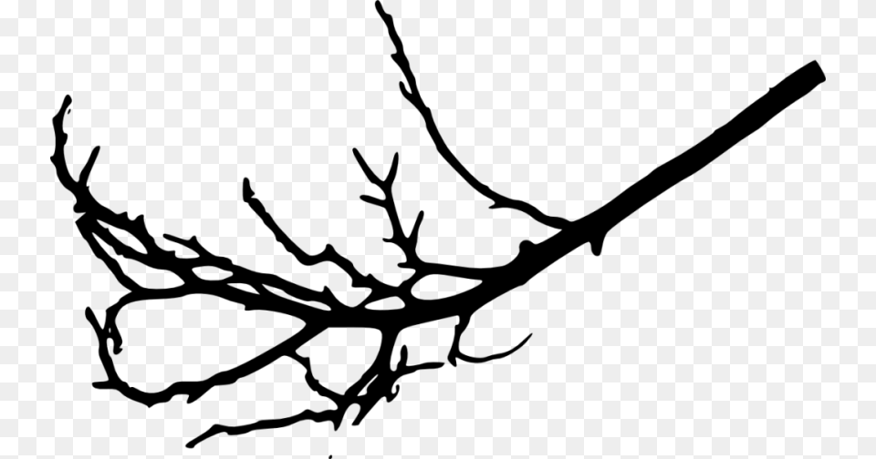 Tree Branches Silhouette, Leaf, Plant, Animal, Kangaroo Png Image