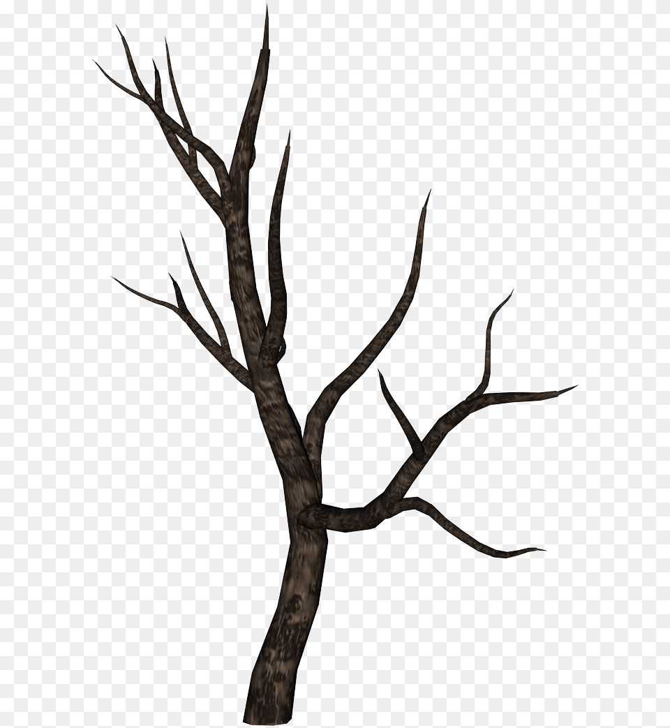 Tree Branches Silhouette At Surrealism, Antler, Bow, Weapon Free Transparent Png