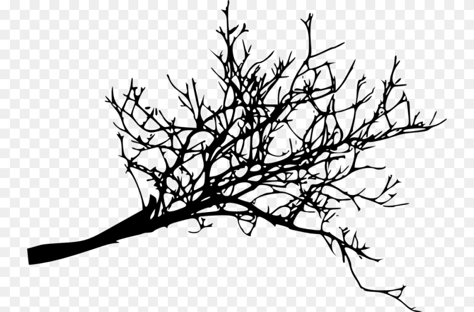 Tree Branches Silhouette Images Transparent, Plant, Leaf Free Png