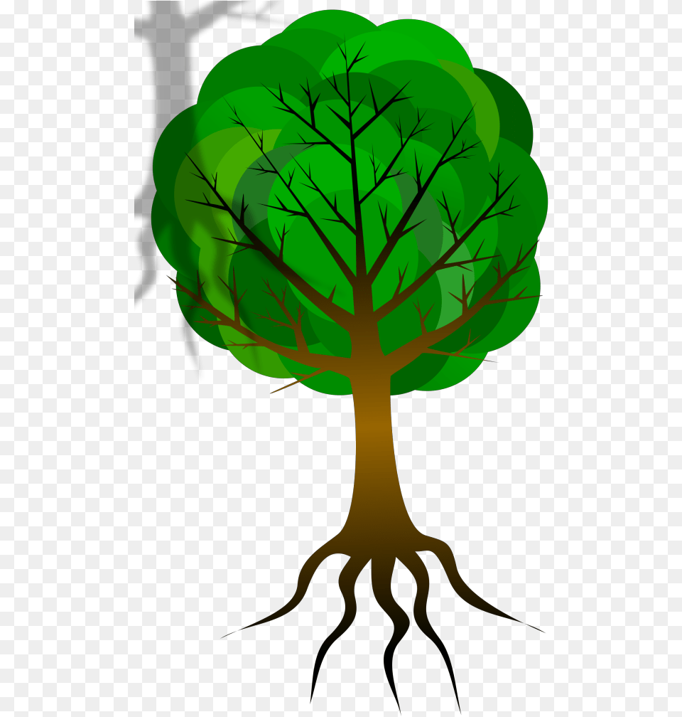 Tree Branches Svg Clip Art For Web Esqueleto De Una Planta, Green, Leaf, Plant, Vegetation Free Transparent Png