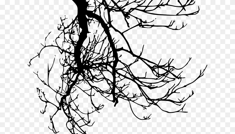 Tree Branches Transparent Background, Gray Png Image