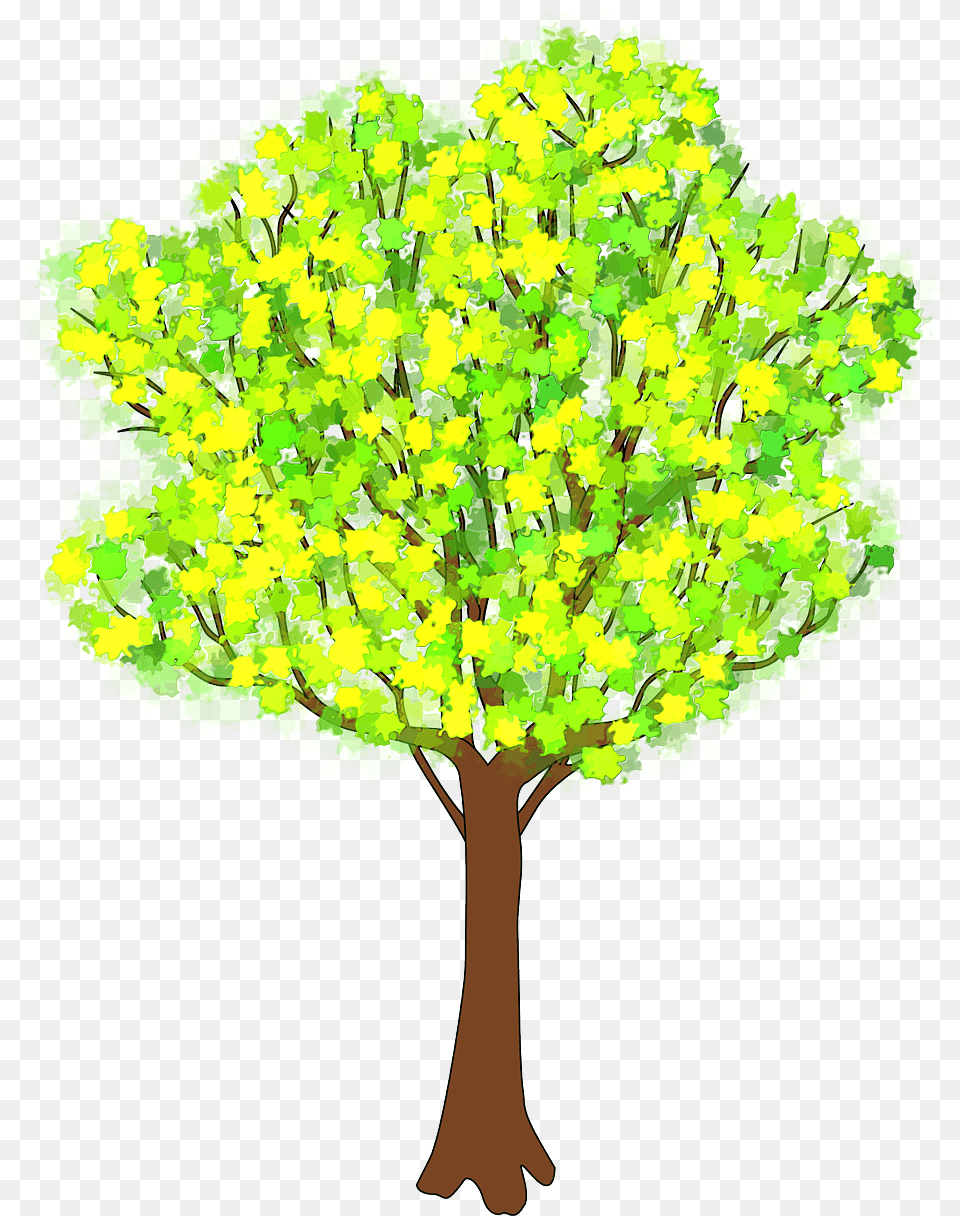 Tree Branches With Leaves, Plant, Vegetation, Oak, Sycamore Free Png Download