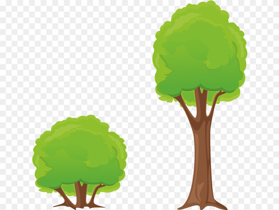 Tree Bush Clipart Tree And A Bush, Green, Plant, Vegetation, Grove Free Png Download