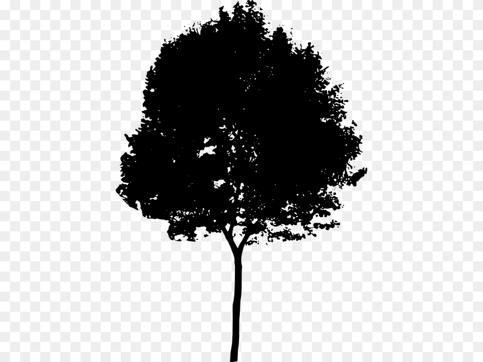 Tree Bush Nature Leaves Trunk Silhouette Architecture Tree Silhouette, Gray Free Png