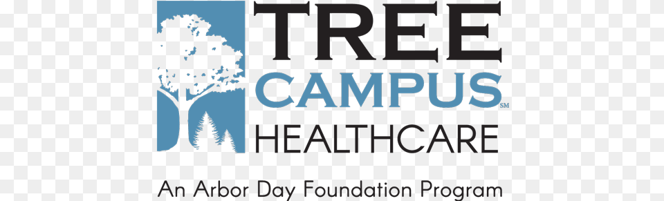 Tree Campus Healthcare The Arbor Day Foundation Colorado Spruce, Plant, Vegetation, Outdoors Free Png Download
