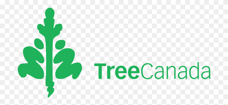 Tree Canada, Green, Herbs, Plant, Herbal Free Png Download